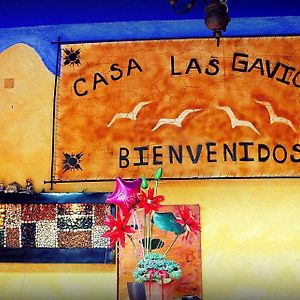 Hotel Posada Casa Las Gaviotas